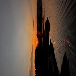 ����: ��������� �����