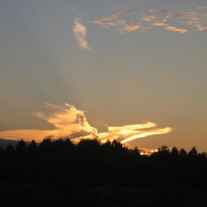 ����: ���-�����