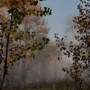 ����: �� ����� 