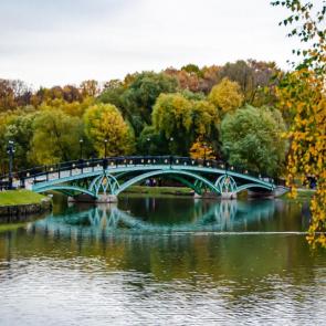 ����: ������ ������