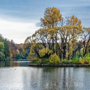 ����: ��������