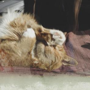 ����: ������ ������ ����� � ����