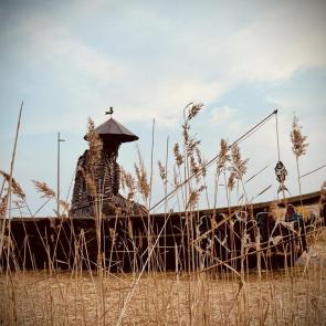 ����: �����