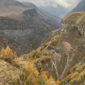 ����: ������� ����� ���