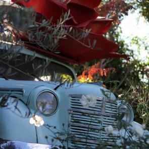 ���� ��������: ����� ������