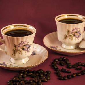 ����: �������� ����