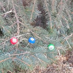 ����: ���� ���� ��������