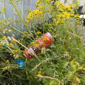 ����: �����