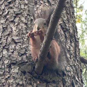 ���� ��������: � ����� 