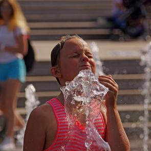 ����: ������ ������������