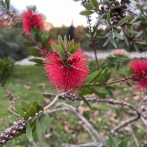 ���� ��������: 