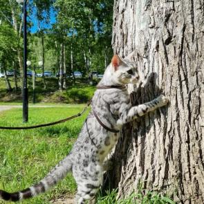 ����: ����������� ����!