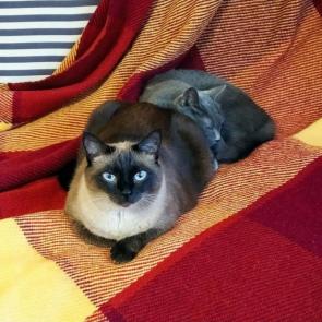 ����: � ����� ����� ������� ������ ))