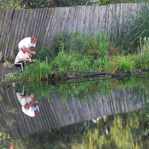 ����: ������