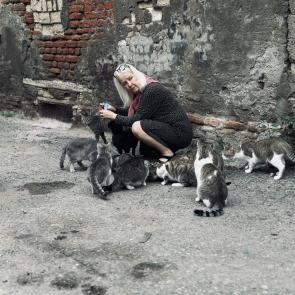 ����: �������-���������