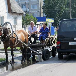 ����: �������� ��������