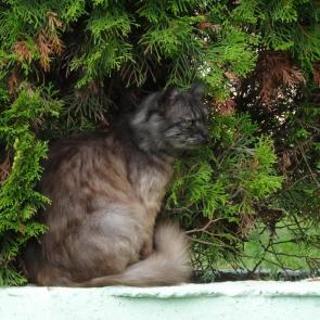 ����: � ������