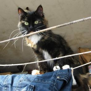 ����: �� �������