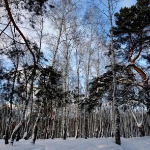 ����: ��������� ���.