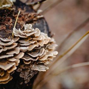 ����: ����� � ��� ���������