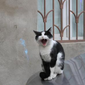 ����: ������ ���� �������!