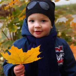 ����: �����