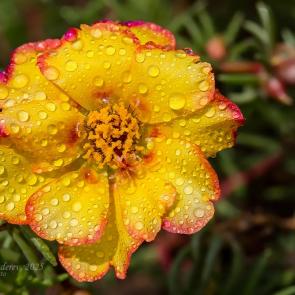 ����: �������� � ������ ����