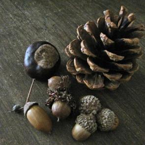 ����: ���� �������.