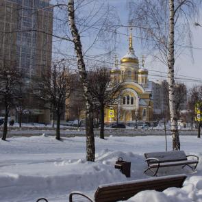 ���� ��������: ����������� 