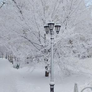 ���� ��������: 