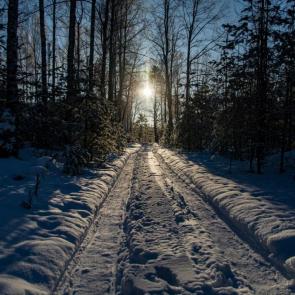 ����: ������ � ������...