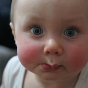 ����: ������