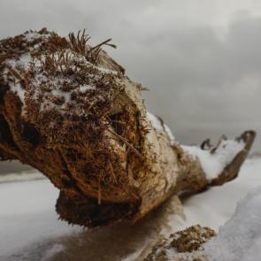 ����: ��� ������