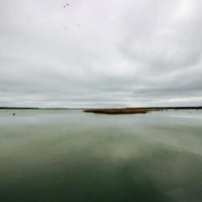 ����: �����.