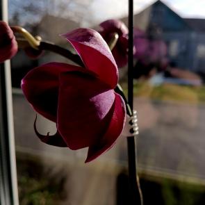 ���� ��������: ������� 