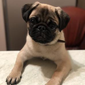 ����: 