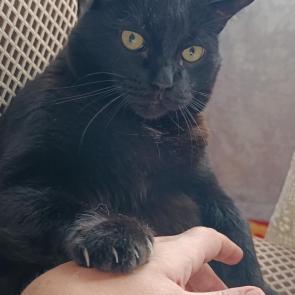 ����: ��� ������