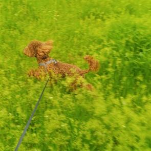 ����: �����...