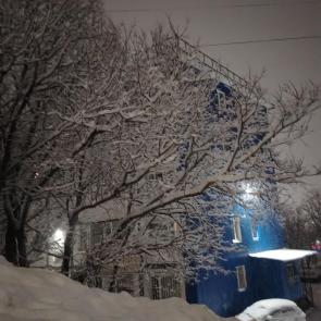 ����: ������