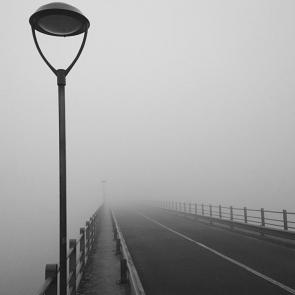 ����: �������������