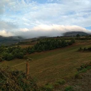 ����: ���������� ��������������