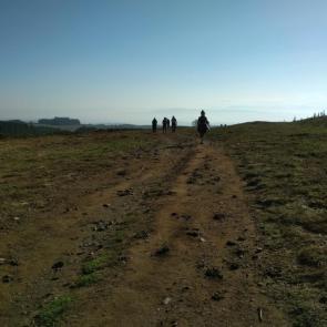 ����: �������