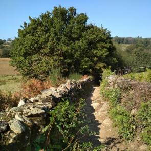 ����: �����