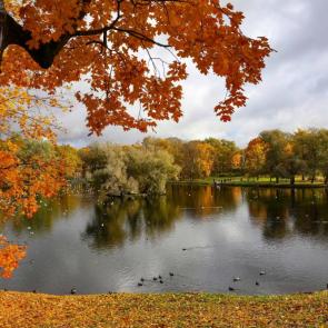 ����: ���