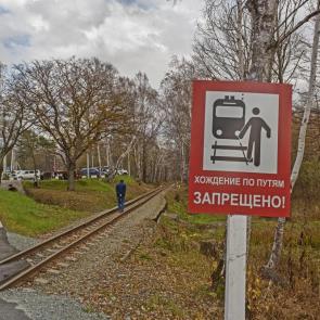 ����: ���������