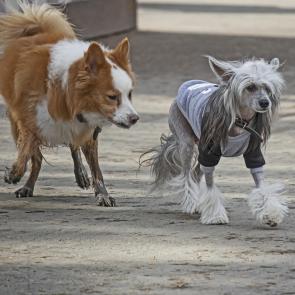 ����: ����� � ���� �������������? ))