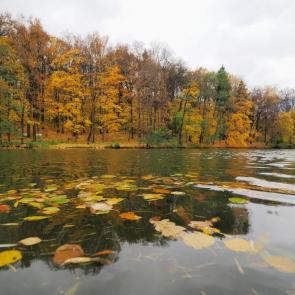 ����: ����� � ��������.