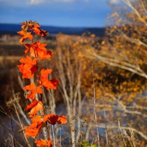 ����: ���, ��� ��� ����� ��� ������ ������...