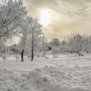 ����: ����