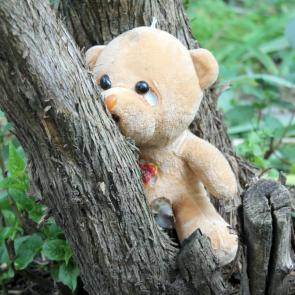 ����: ��������� ����